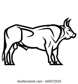 Vector black and white drawing - powerful horned bull