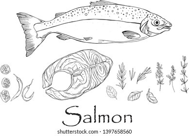 Vector black and white drawing of salmon and steak with spices