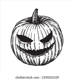 vector black and white drawing in vintage style. pumpkin for halloween. isolated on white background pumpkin. element of halloween, witchcraft, magic. graphic drawing in retro style