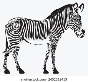 vector black and white drawing of zebra animal. suitable for logo or symbol