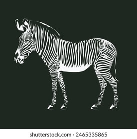 vector black and white drawing of zebra animal. suitable for logo or symbol