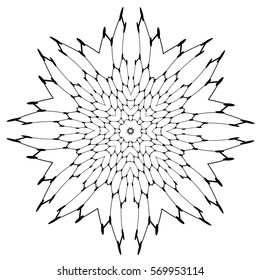  Vector Black and White  element. Floral design element. Hipster geometrical circular flowers.  Flower objects. 