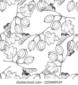 Vector. Black and white engraved ink art. Seamless background pattern. Fabric wallpaper print texture. Leaf plant botanical garden floral foliage.