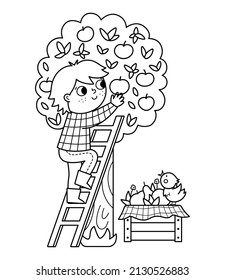 Granjero blanco y negro vectorial recogiendo manzanas del árbol. Niño de contorno curado haciendo icono de trabajo agrícola. Niño en la escalera recogiendo manzanas. Graciosa ilustración de granja o página de color 
