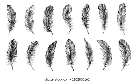 Vector Black and White Feather Pattern