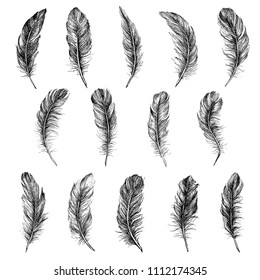 Vector Black and White Feather Pattern