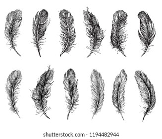 Vector Black White Feather Pattern Stock Vector (Royalty Free) 1718755351