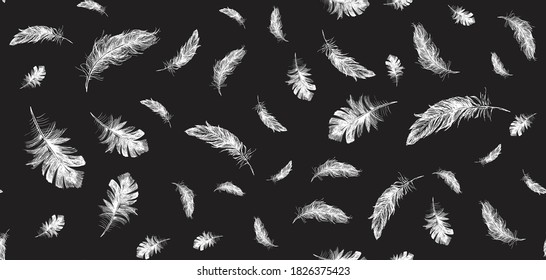 Vector Black and White Feather Pattern	