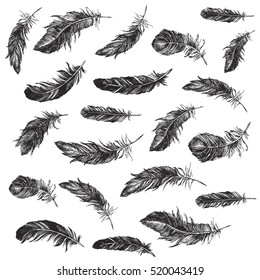 Vector Black and White Feather Pattern