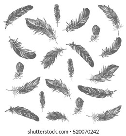 Vector Black and White Feather Pattern