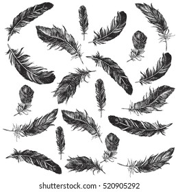 Vector Black and White Feather Pattern