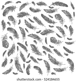 Vector Black and White Feather Pattern