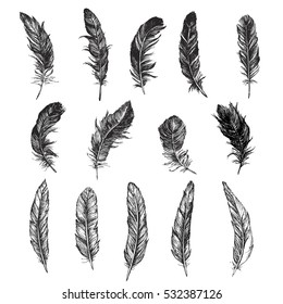 Vector Black and White Feather Pattern