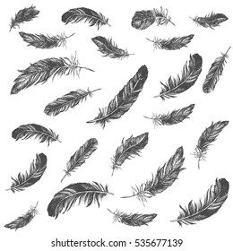 Vector Black and White Feather Pattern