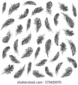 Vector Black and White Feather Pattern