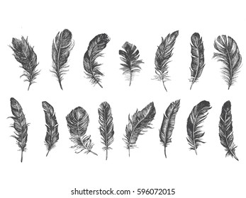 Vector Black and White Feather Pattern