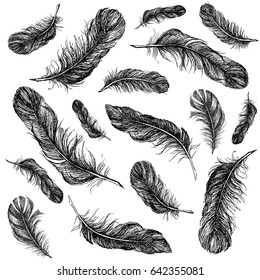 Vector Black and White Feather Pattern
