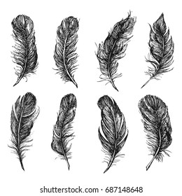 Vector Black and White Feather Pattern
