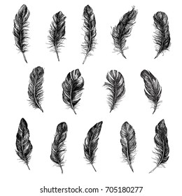 Vector Black and White Feather Pattern
