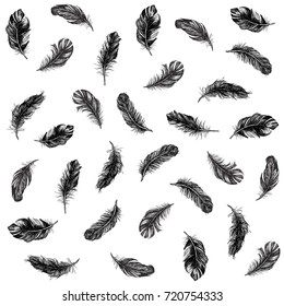 Vector Black and White Feather Pattern
