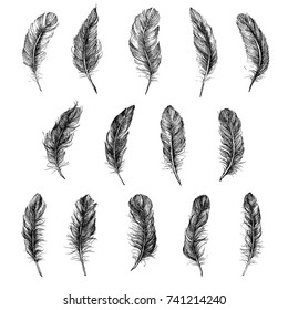 Vector Black and White Feather Pattern
