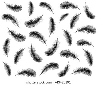 Vector Black and White Feather Pattern
