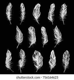 Vector Black and White Feather Pattern
