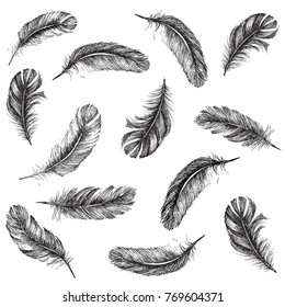 Vector Black White Feather Pattern Stock Vector (Royalty Free ...