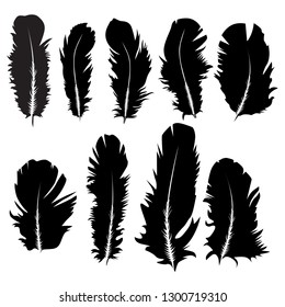 Vector black and white feathers collection, set of different falling fluffy twirled feathers, isolated on background. Realistic birds feather set, vector  illustration.
