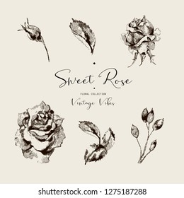 Vector black and white floral greeting card, Vintage roses, flowers, twigs, leaves, buds. Hand painted natural illustration, design invitation