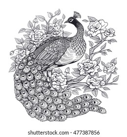 Vector Black And White Floral Peacock Illustration