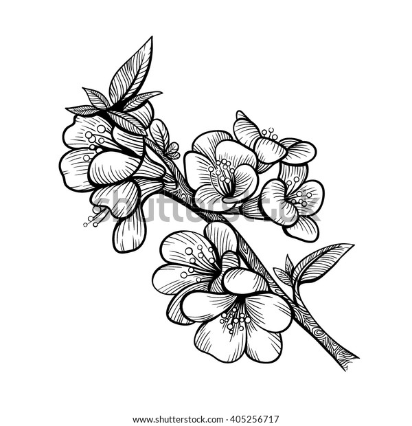 Vector Black White Flower Branch Illustration Stock Vector (Royalty ...