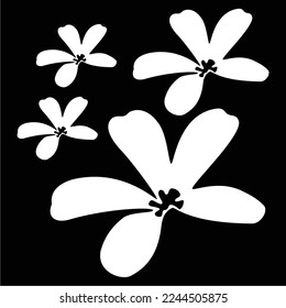 Vector black and white frangipani flower in an elegant and luxury style