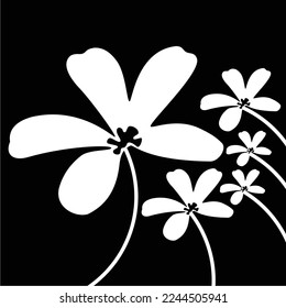 Vector black and white frangipani flower in an elegant and luxury style