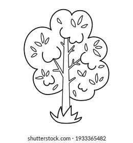 Jardín o árbol del bosque blanco y negro vectores. Esbozar ilustración de bosque de primavera o planta de explotación. Icono de arbusto de dibujo de línea natural