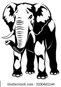 vector black and white graphic illustration - standing elephant