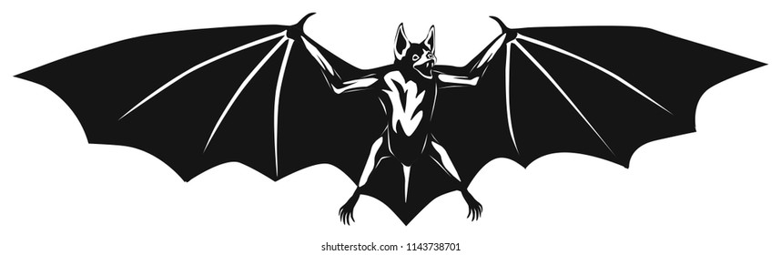 vector black and white graphic illustration of flying bat