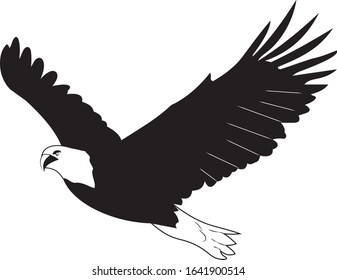 vector black and white graphic illustration of a flying eagle, a soaring eagle, an eagle in the sky