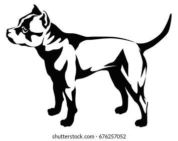 Vector black and white graphic illustration of dog breeds Stafford bull terrier