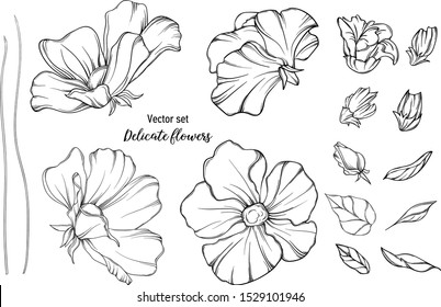 Vector black and white graphic set. Delicate flowers.