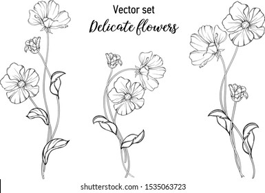 Vector black and white graphic set. Delicate flowers.