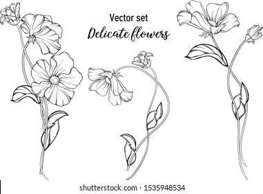 Vector black and white graphic set. Delicate flowers.