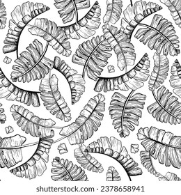Vector black and white graphic tropical palm leaves seamless pattern with jungle plants and monstera. Hand drawn exotic nature for prints, wrapping, fabric or wallpapers