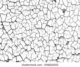 Vector black and white grunge pattern made from natural oil paint crackle. Cool texture of cracks, stains, scratches, splash, etc for print and design. Crackle paint overlay. EPS10.