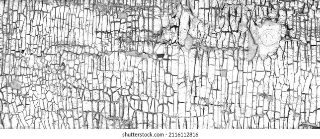 Vector Black And White Grunge Pattern Made From Natural Oil Paint Crackle. Cool Texture Of Cracks, Stains, Scratches, Splashes For Print And Design. Crackle Paint Overlay. EPS10.