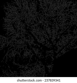 Vector black and white grunge texture