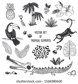 Vector black and white hand drawn set of tropical elements for design drawn with a tablet, isolated on a white background. Palm tree, monkey, toucan, alligator, leopard pattern, exotic plants etc.