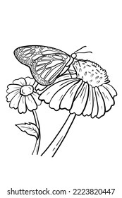 Vector Black and White Hand Drawn Butterfly Standing on Flower Illustration. Vintage Style Butterfly and Flowers Drawing Sketch. Isolated on White Background. Retro butterfly with daisy ink sketch