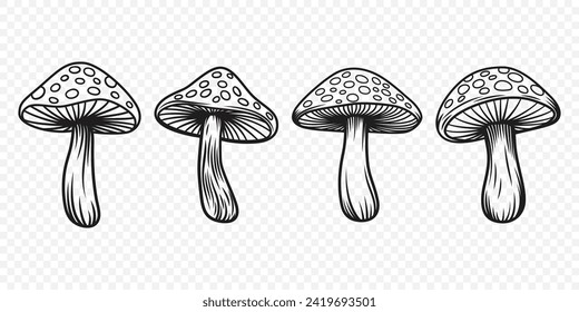 Vector Black and White Hand Drawn Cartoon Mushrooms. Amanita Muscaria, Fly Agaric Illustration, Mushrooms Collection. Magic Mushroom Symbol, Design Template