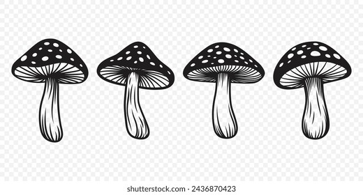 Vector Black and White Hand Drawn Cartoon Mushrooms. Amanita Muscaria, Fly Agaric Illustration, Cutout Mushrooms Collection. Magic Mushroom Silhouette, Design Template